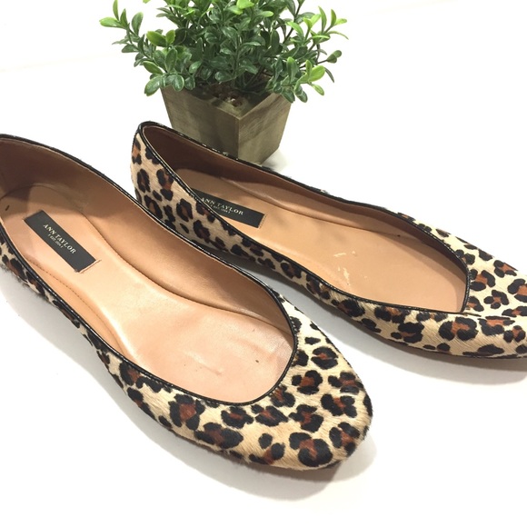 ann taylor leopard flats